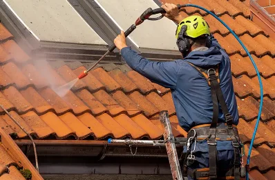 Démoussage et hydrofuge de toiture à Bathernay
